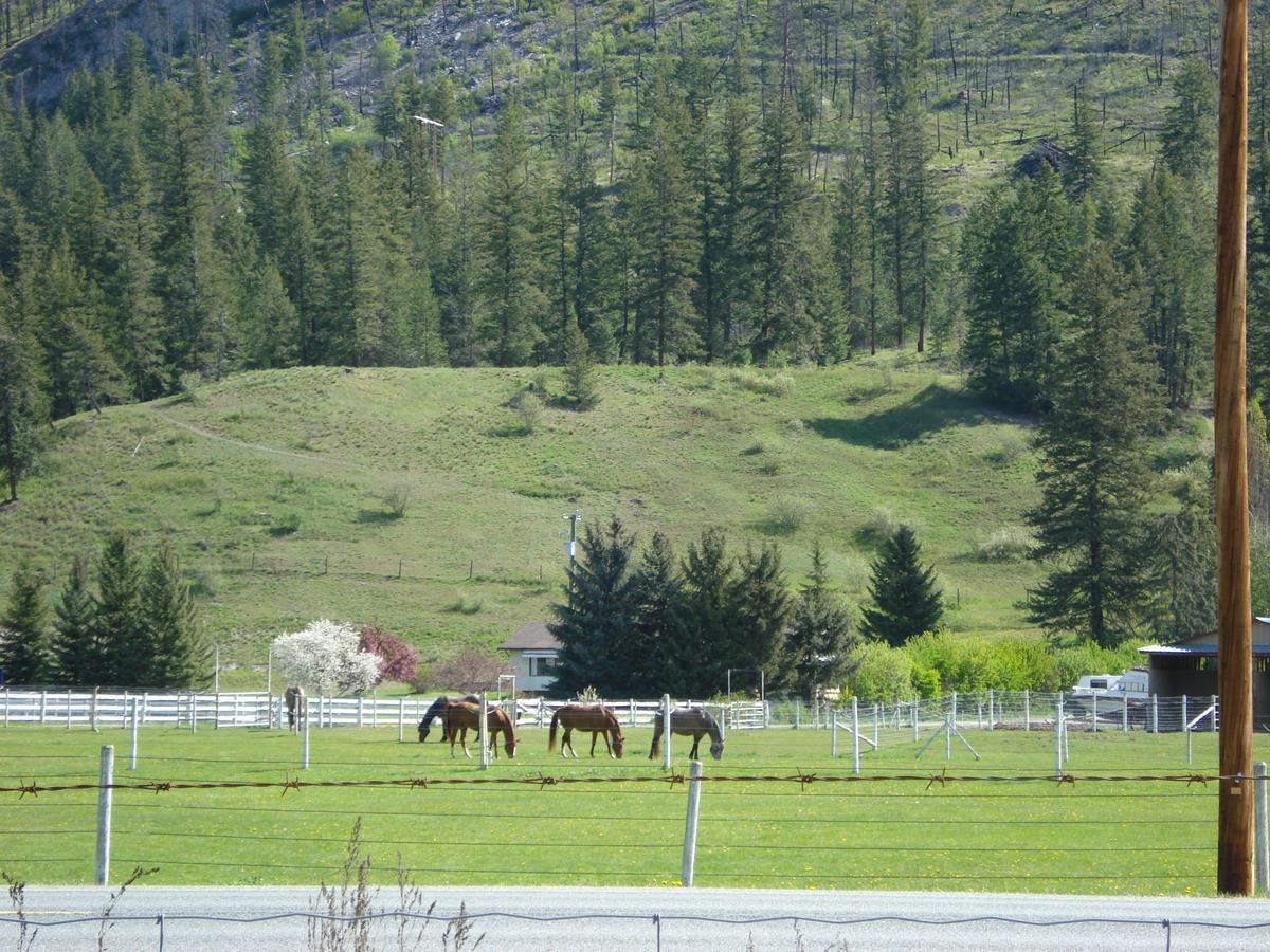 Mountain Springs Motel & Rv Park Barriere Exterior photo